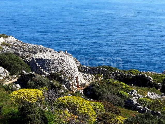 Vendesi baita/chalet/trullo a Gagliano del Capo