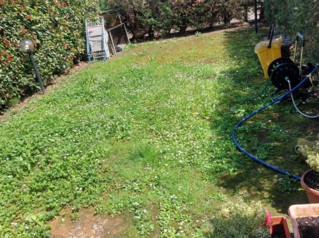 Vendesi bilocale a Castelfiorentino via di Broccolino
