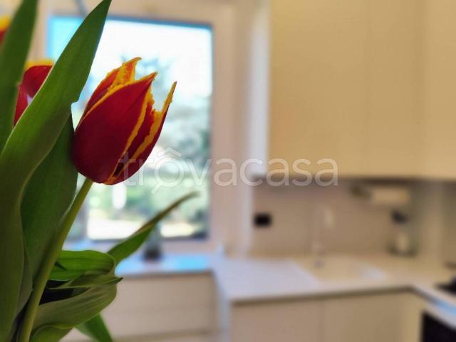 Vendesi bilocale a Firenze via Faentina, 316, Cure