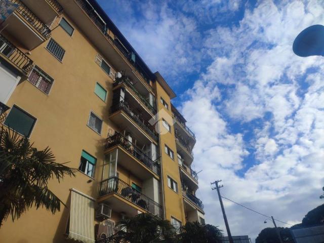 Vendesi bilocale a Napoli, Colli Aminei Capodimonte