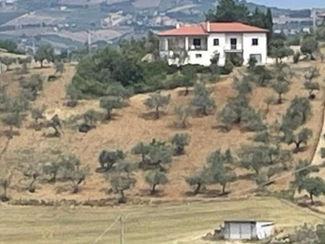 Vendesi casa indipendente a Collecorvino via Belvedere 27