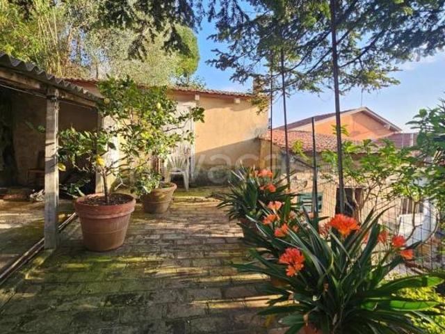 Vendesi casa indipendente a Collesalvetti