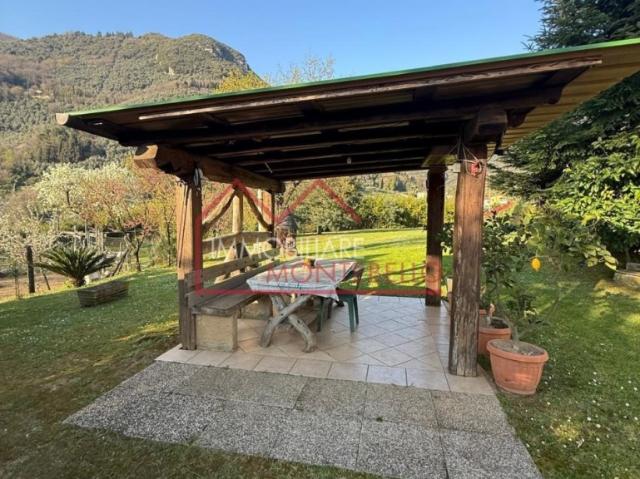 Vendesi casa indipendente a Camaiore, Lombrici