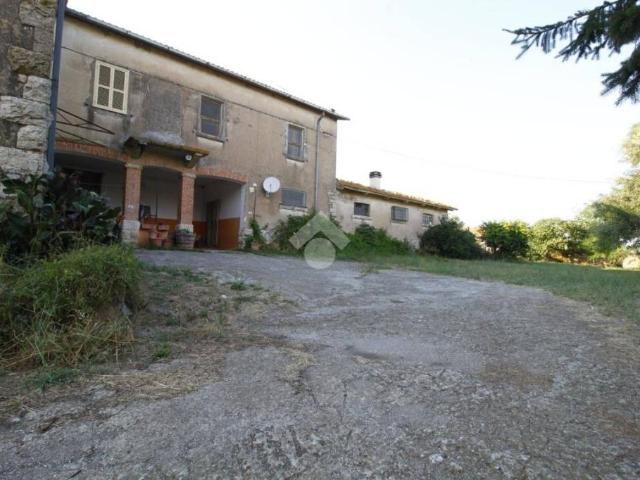 Vendesi casa indipendente a Canino