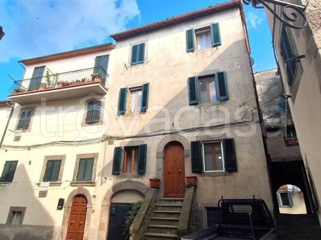 Vendesi casa indipendente a Castel del Piano