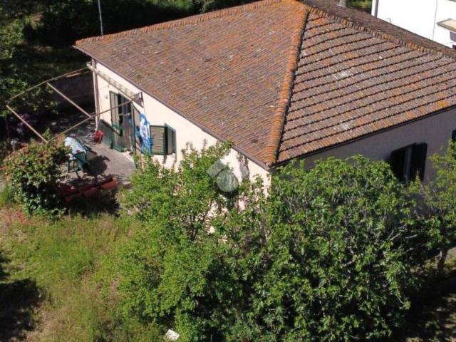 Vendesi casa indipendente a Faleria via Giacomo Matteotti, 31