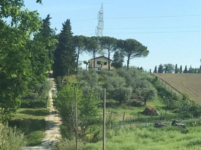 Vendesi casa indipendente a Ostra