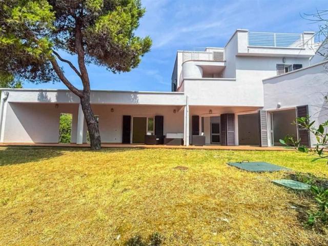 Vendesi casa indipendente a Livorno, Chioma