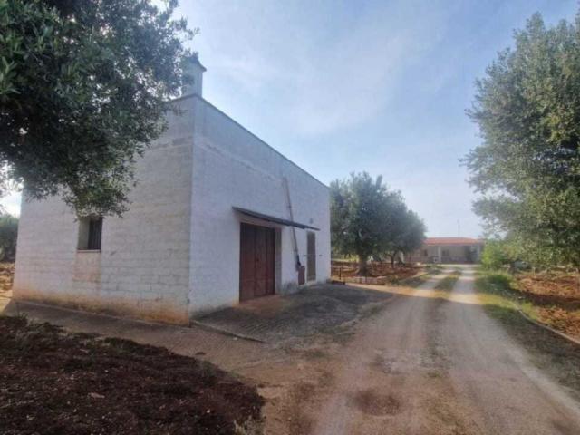 Vendesi casa indipendente a Monopoli