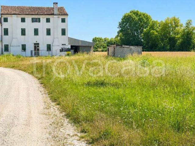 Vendesi casa indipendente a Montagnana via Cà Megliadino