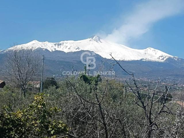 Vendesi casa indipendente a Santa Venerina via cent' anni, 21