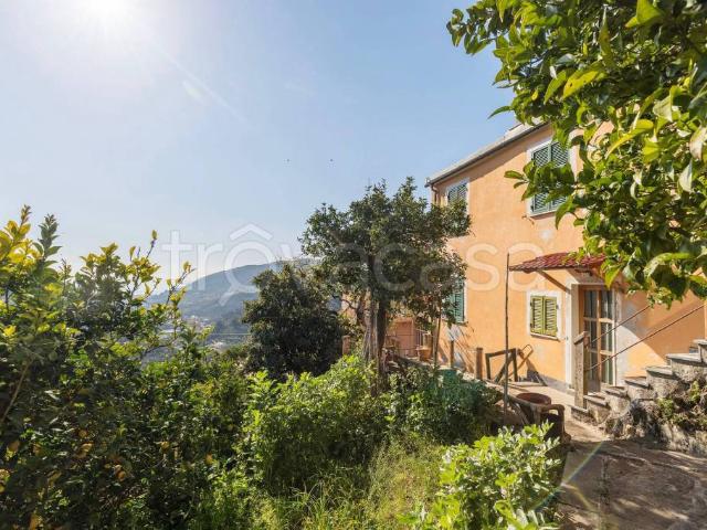 Vendesi casa indipendente a Pastine, Levanto