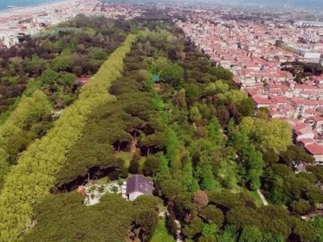 Vendesi casa indipendente a Viareggio