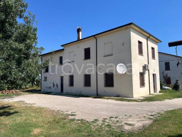 Vendesi casale a Massa Lombarda