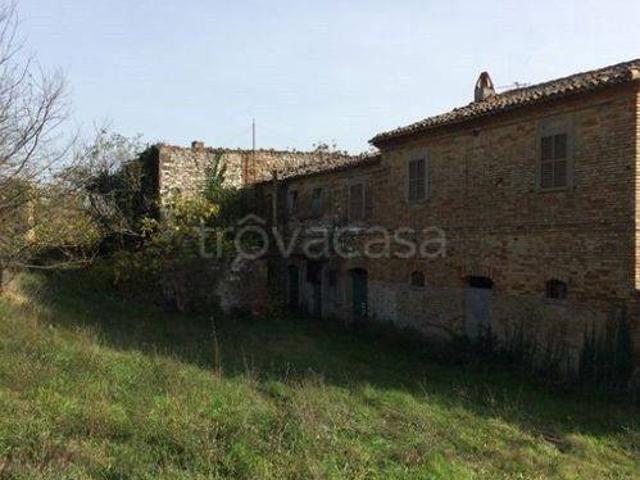 Vendesi casale a Isola del Piano strada Del Piano