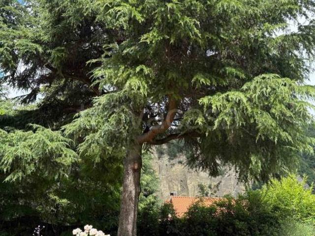 Vendesi quadrilocale a Monterenzio, Pizzano
