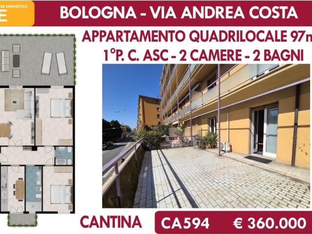 Vendesi quadrilocale a Bologna