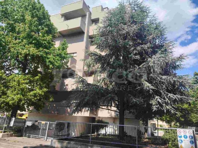 Vendesi quadrilocale a Rovigo via San Pio X, ro