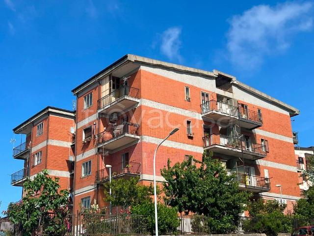 Vendesi quadrilocale a Vibo Valentia