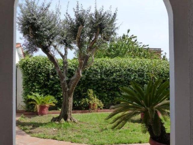 Vendesi quadrilocale ad Ardea via dei Platani, Lido dei Pini di Ardea Lupetta