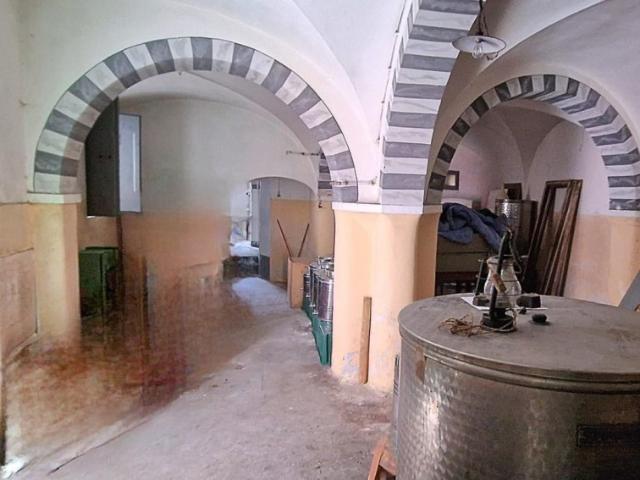 Vendesi rustico a Calci