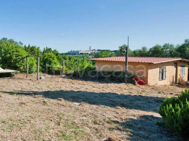 Vendesi rustico a Grottaferrata via della Ferriera, 2