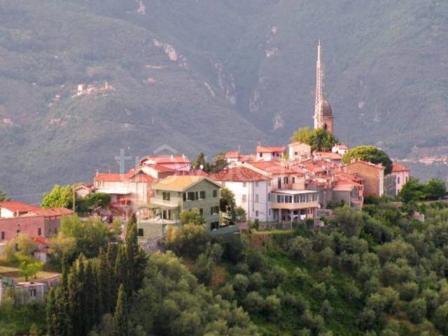 Vendesi rustico a Pedona, Camaiore
