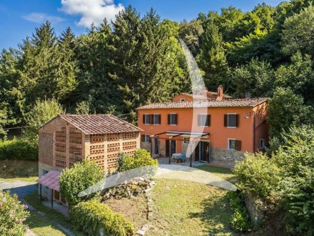 Vendesi rustico a Pescia, Pietrabuona
