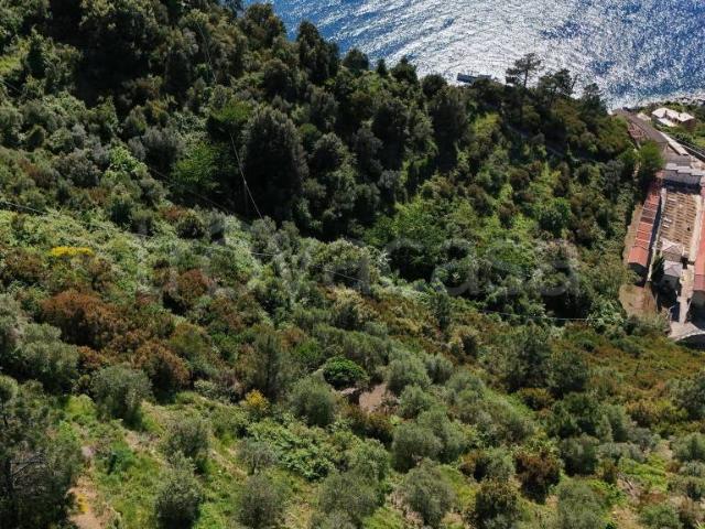 Vendesi rustico a Riomaggiore
