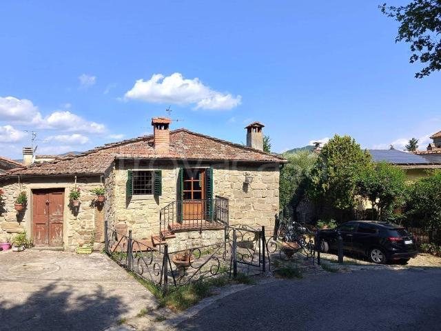 Vendesi rustico a Rufina