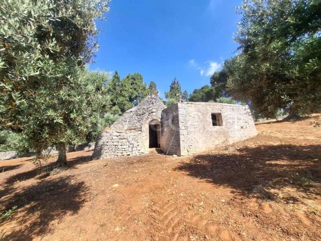 Vendesi rustico/casale/corte a Ostuni