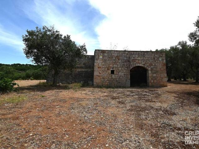 Vendesi rustico/casale/corte a Ostuni via Contrada Grieco