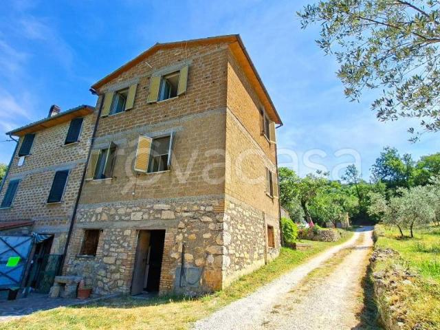 Vendesi rustico/casale/corte a Baschi