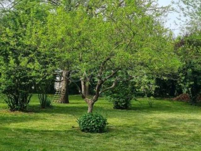 Vendesi rustico/casale/corte a Carpi, Migliarina Budrione