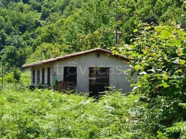Vendesi rustico/casale/corte a Ceriana via San Antonio, 22