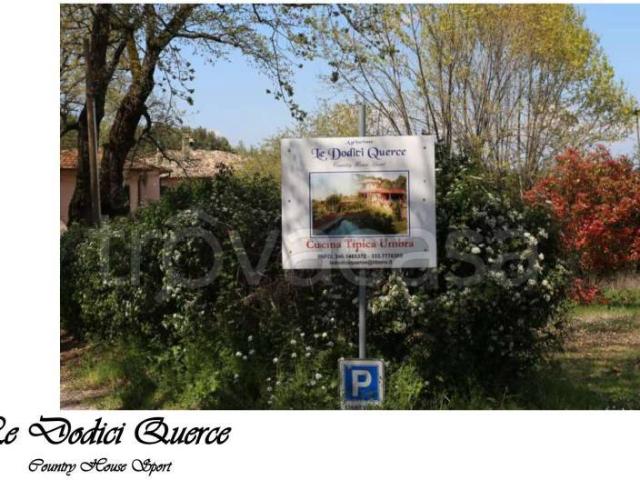 Vendesi rustico/casale/corte a Gualdo Cattaneo via Fontepellata
