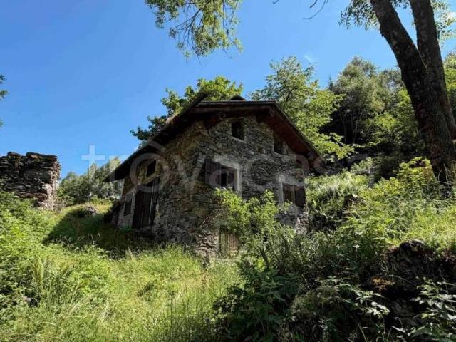 Vendesi rustico/casale/corte a Ponte in Valtellina via Virida, 2