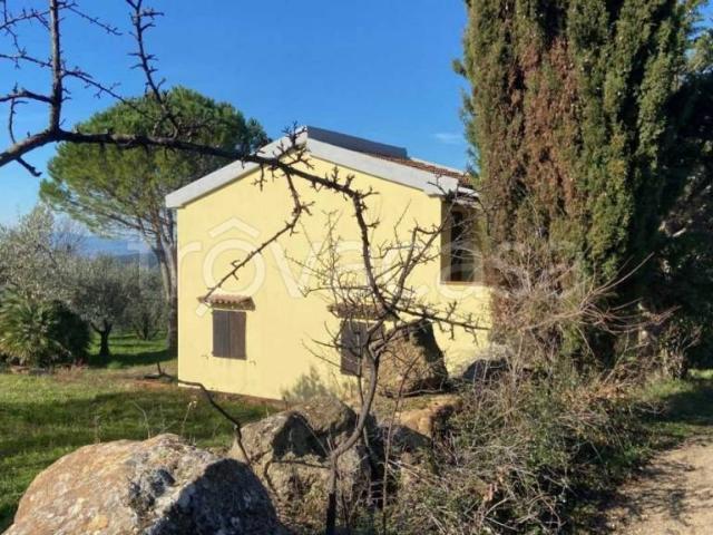 Vendesi rustico/casale/corte a Roccastrada