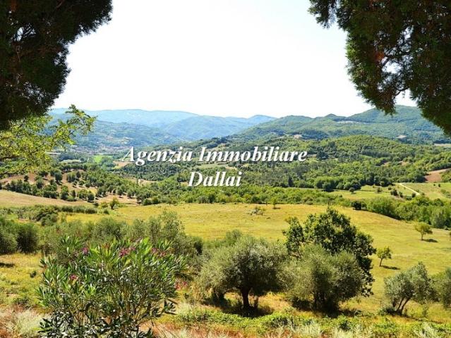 Vendesi rustico/casale/corte a Vicchio