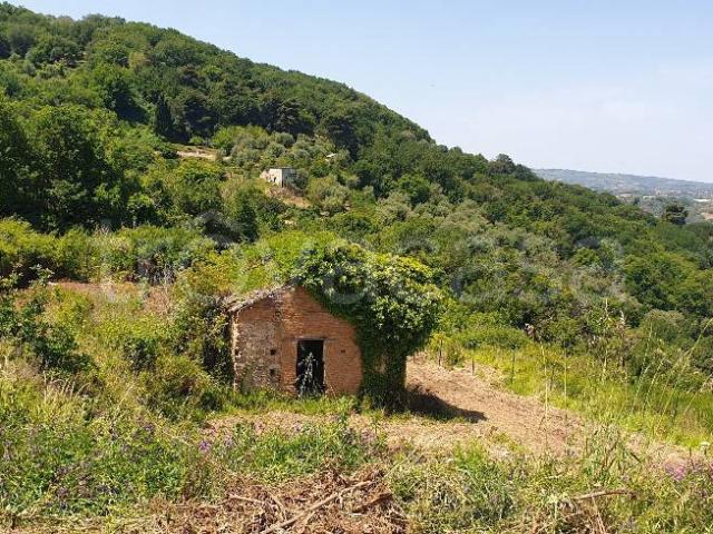 Vendesi rustico/casale/corte a Vibo Valentia via Gallizzi