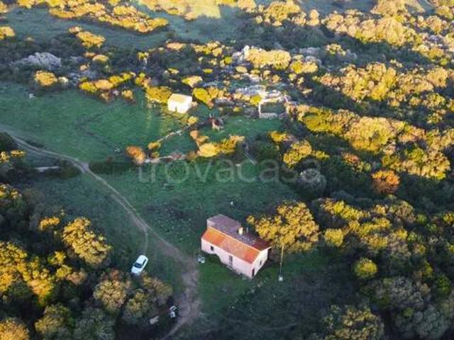 Vendesi rustico/casale/corte ad Aglientu