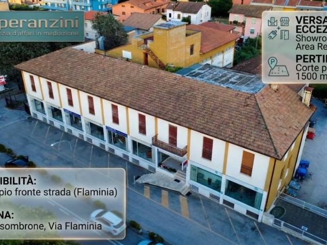 Vendesi stabile/palazzo a Fossombrone