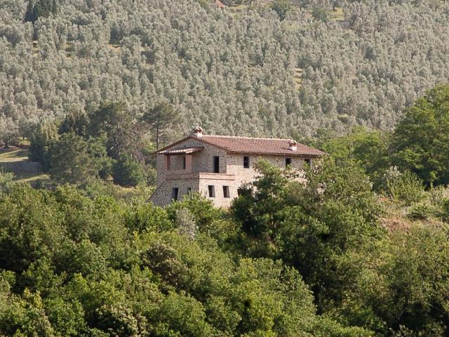 Vendesi stabile/palazzo a Vinci