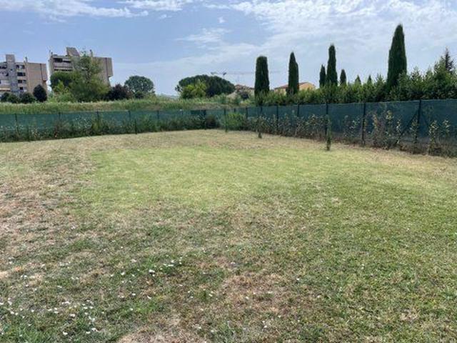 Vendesi terreno agricolo