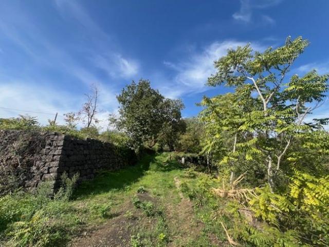 Vendesi terreno agricolo a Santa Venerina strada provinciale