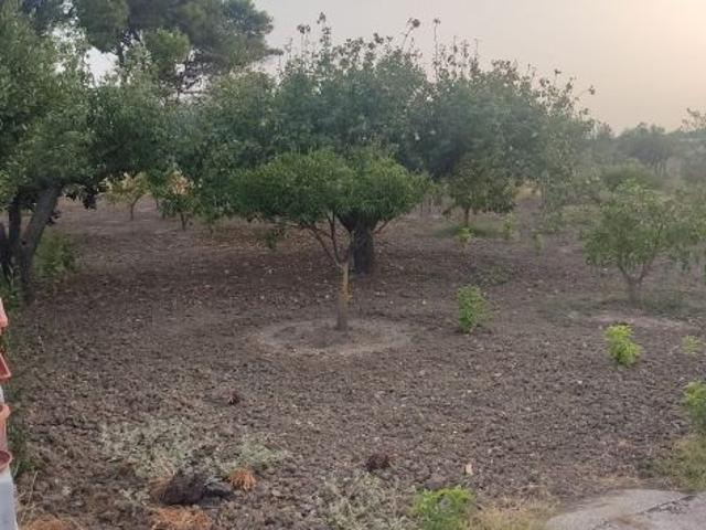 Vendesi terreno agricolo recintato con fabbricato in zona Dattilo Trapani