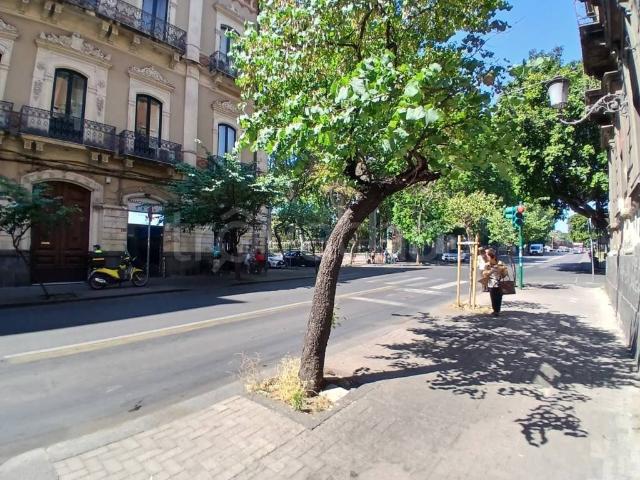 Vendesi trilocale a Catania, Borgo