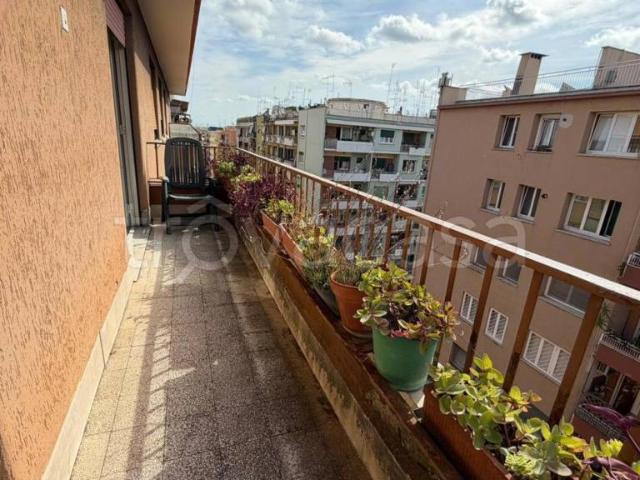 Vendesi trilocale a Roma, Cipro