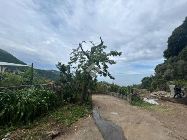 Vendesi bilocale a Sorrento via Riviezzoli