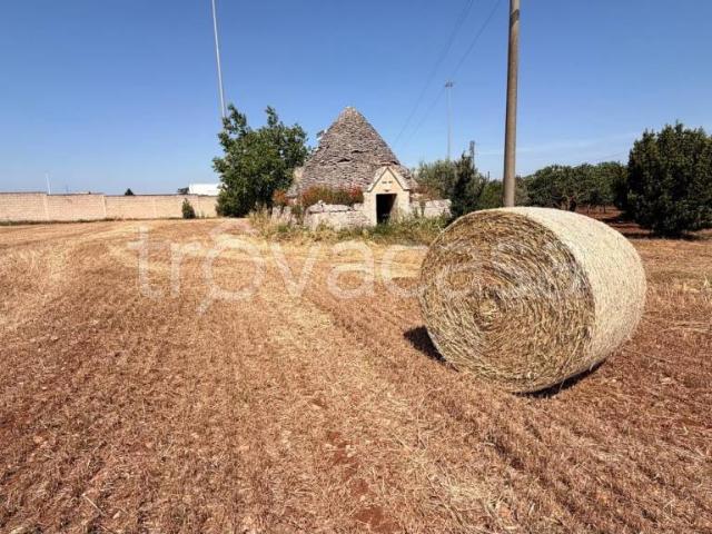 Vendesi trullo a Putignano